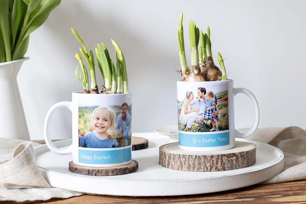 Fotomuggar som blomkrukor Fotomuggar som blomkrukor