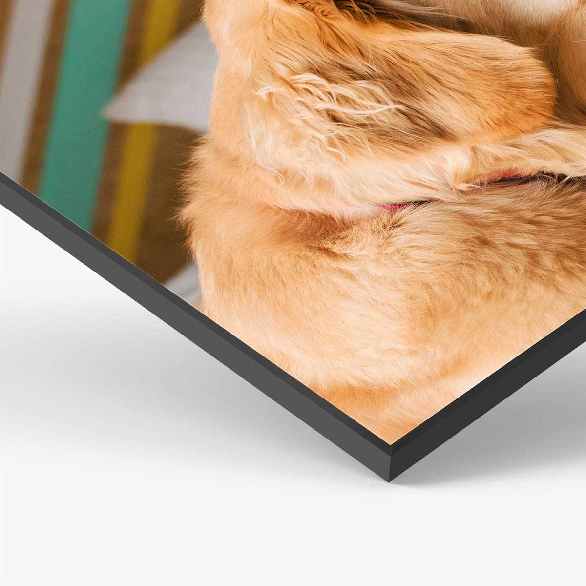 wanddisplay_detail.jpg